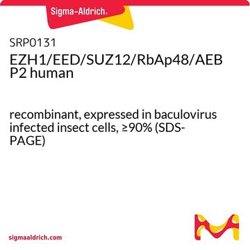 EZH1/EED/SUZ12/RbAp48/AEBP2 human recombinant, expressed in baculovirus infected insect cells, &#8805;90% (SDS-PAGE)