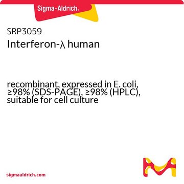 Interferon-&#955; human recombinant, expressed in E. coli, &#8805;98% (SDS-PAGE), &#8805;98% (HPLC), suitable for cell culture