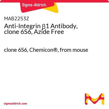 Anti-Integrin &#946;1 Antibody, clone 6S6, Azide Free clone 6S6, Chemicon&#174;, from mouse