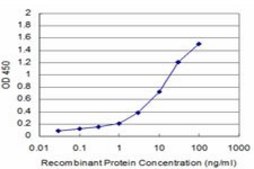 Monoclonal Anti-GCSH antibody produced in mouse clone 3D8-A12, purified immunoglobulin, buffered aqueous solution