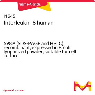 白细胞介素8 人 &#8805;98% (SDS-PAGE and HPLC), recombinant, expressed in E. coli, lyophilized powder, suitable for cell culture