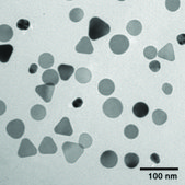 Silver nanoplates resonant wavelength, 550 nm, 0.02 mg/mL (in water with 5 mM sodium borate buffer), PVP functionalized
