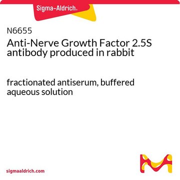 Anti-Nerve Growth Factor 2.5S antibody produced in rabbit fractionated antiserum, buffered aqueous solution