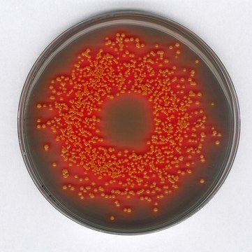 GranuCult&#174; prime Hektoen Enteric Agar according to ISO 21567, FDA-BAM, according to ISO 6579, selective and differential for Salmonella spp., selective and differential for Shigella spp., suitable for microbiology