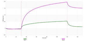 Anti-ApoER2/LRP-8 Antibody, clone 1B13 ZooMAb® Rabbit Monoclonal recombinant, expressed in HEK 293 cells