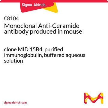 单克隆抗 神经酰胺 小鼠抗 clone MID 15B4, purified immunoglobulin, buffered aqueous solution