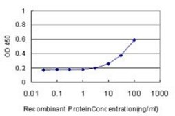 Monoclonal Anti-PTK7 antibody produced in mouse clone 4A6, purified immunoglobulin, buffered aqueous solution