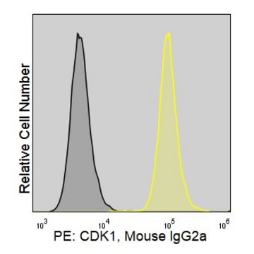 Anti-Human CDK1 (POH-1) ColorWheel&#174; Dye-Ready mAb