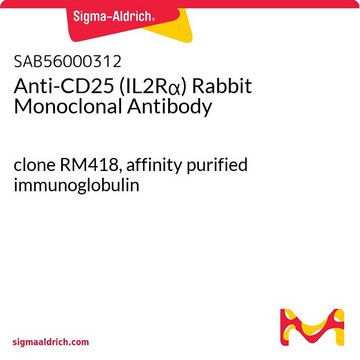 Anti-CD25 (IL2R&#945;) Rabbit Monoclonal Antibody clone RM418, affinity purified immunoglobulin