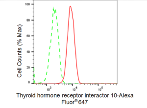 KD-Validated Anti Thyroid hormone receptor interactor 10 Antibody, clone 23GB4705, Rabbit Monoclonal clone 23GB4705, recombinant rabbit monoclonal, expressed in HEK293 cells