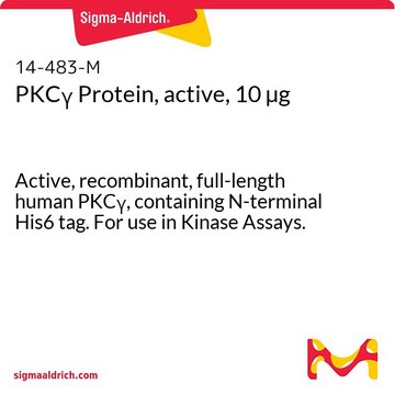 PKC&#947; Protein, active, 10 &#181;g Active, recombinant, full-length human PKC&#947;, containing N-terminal His6 tag. For use in Kinase Assays.