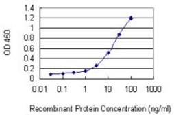 Monoclonal Anti-WDFY3, (N-terminal) antibody produced in mouse clone 2F12, purified immunoglobulin, buffered aqueous solution