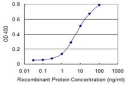 Monoclonal Anti-MAPK13 antibody produced in mouse clone 3G6, purified immunoglobulin, buffered aqueous solution