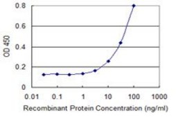 Monoclonal Anti-C20ORF172, (C-terminal) antibody produced in mouse clone 2A7, purified immunoglobulin, buffered aqueous solution