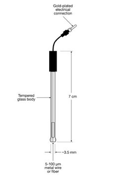 Platinum Microelectrode diam. 10&#160;&#956;m