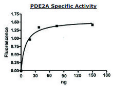 PDE2A FLAG tag active human recombinant, expressed in baculovirus infected Sf9 cells, ≥88% (SDS-PAGE)
