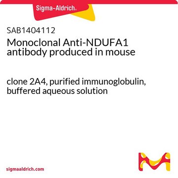 Monoclonal Anti-NDUFA1 antibody produced in mouse clone 2A4, purified immunoglobulin, buffered aqueous solution