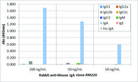 Anti-Mouse IgA antibody, Rabbit monoclonal recombinant, expressed in HEK 293 cells, clone RM220, purified immunoglobulin
