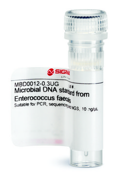 Microbial DNA standard from Enterococcus faecalis Suitable for PCR, sequencing and NGS, 10&#160;ng/&#956;L