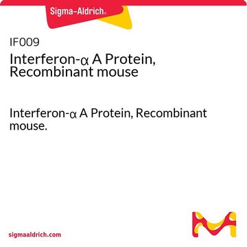 Interferon-&#945; A Protein, Recombinant mouse Interferon-&#945; A Protein, Recombinant mouse.