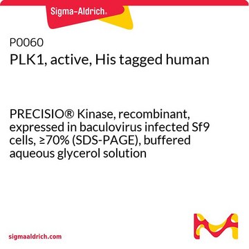 PLK1, active, His tagged human PRECISIO&#174; Kinase, recombinant, expressed in baculovirus infected Sf9 cells, &#8805;70% (SDS-PAGE), buffered aqueous glycerol solution