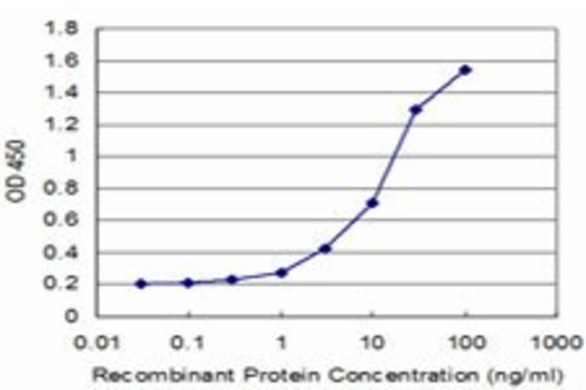 Monoclonal Anti-NELL1 antibody produced in mouse clone 3F1, purified immunoglobulin, buffered aqueous solution