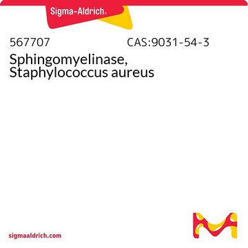 Sphingomyelinase, Staphylococcus aureus