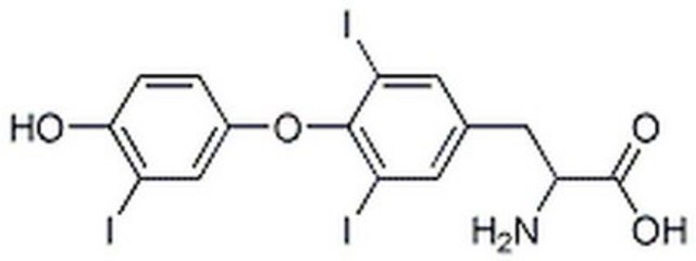 L-3,3&#8242;,5-Triiodothyronine, Free Acid, High Purity Chromatographically purified.