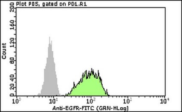 Milli-Mark&#174; Anti-EGFR-FITC Antibody Milli-Mark&#174;, from rabbit