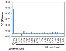 L-Arginine Assay Kit (Colorimetric) sufficient for 100 colorimetric&nbsp;tests