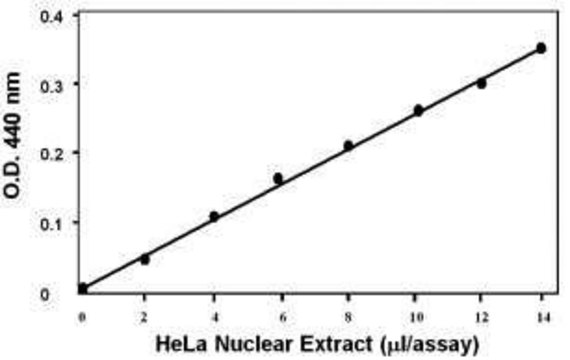 组蛋白乙酰转移酶 (HAT) 活性检测试剂盒 100 assays in 96 well plates