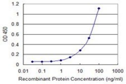 Monoclonal Anti-MAFA antibody produced in mouse clone 2F1, purified immunoglobulin, buffered aqueous solution