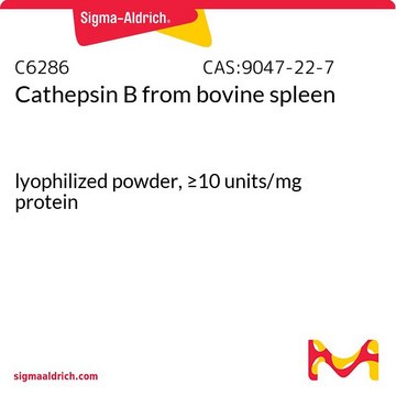 组织蛋白酶B 来源于牛脾脏 lyophilized powder, &#8805;10&#160;units/mg protein