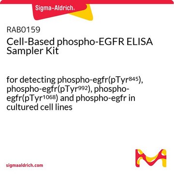 基于细胞的磷酸化EGFR ELISA采样器套件 for detecting phospho-egfr(pTyr845), phospho-egfr(pTyr992), phospho-egfr(pTyr1068) and phospho-egfr in cultured cell lines