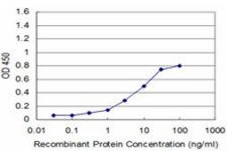 Monoclonal Anti-RAX antibody produced in mouse clone 3G8, purified immunoglobulin, buffered aqueous solution