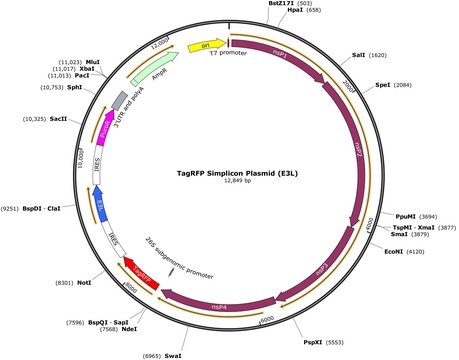 TagRFP Simplicon&#174; Plasmid (E3L)