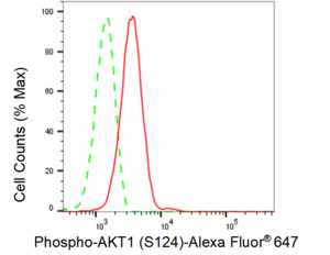 KD-Validated Anti-phospho-AKT1 (Ser124) Antibody, clone 23GB1180, Rabbit Monoclonal clone 23GB1180, recombinant rabbit monoclonal, expressed in HEK293 cells