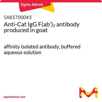 Anti-Cat IgG F(ab&#8242;)2 antibody produced in goat affinity isolated antibody, buffered aqueous solution