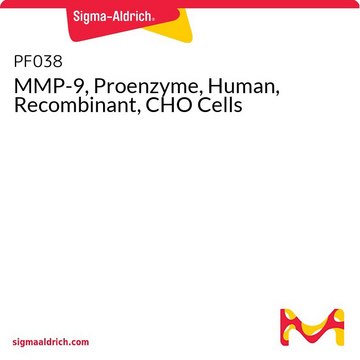 MMP-9, Proenzyme, Human, Recombinant, CHO Cells