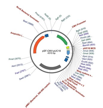 PSF-CMV-PUC18 - CMV PUC18 MCS PLASMID plasmid vector for molecular cloning