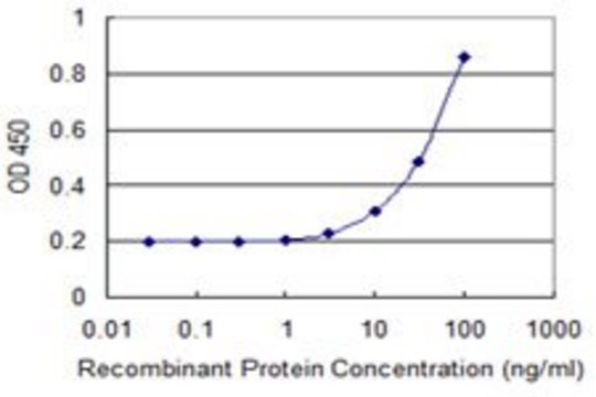 Monoclonal Anti-MTRF1, (N-terminal) antibody produced in mouse clone 1D5, purified immunoglobulin, buffered aqueous solution