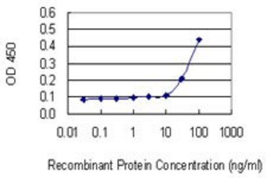 Monoclonal Anti-RPL18A, (C-terminal) antibody produced in mouse clone 3B7, purified immunoglobulin, buffered aqueous solution