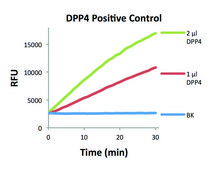 DPP4 Activity Assay Kit sufficient for 100 fluorometric&nbsp;tests