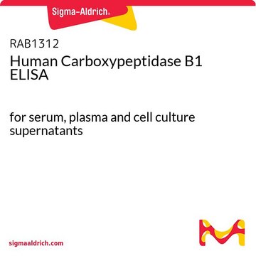 人羧肽酶B1 ELISA for serum, plasma and cell culture supernatants