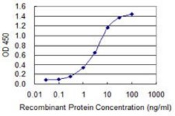Monoclonal Anti-TG antibody produced in mouse clone 1G3, purified immunoglobulin, buffered aqueous solution