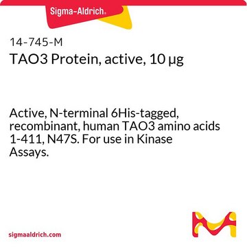 TAO3 Protein, active, 10 &#181;g Active, N-terminal 6His-tagged, recombinant, human TAO3 amino acids 1-411, N47S. For use in Kinase Assays.