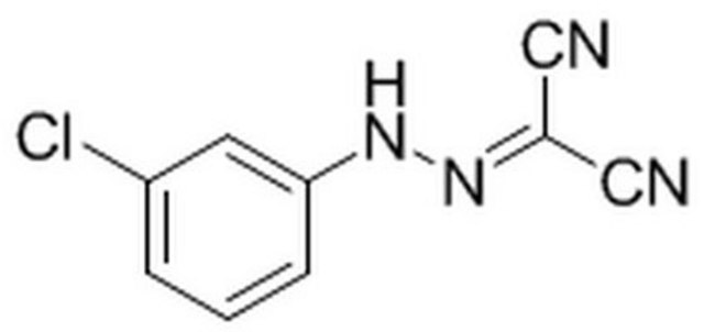 Carbonyl Cyanide m-Chlorophenylhydrazone Protonophore. Uncoupling agent for oxidative phosphorylation that inhibits mitochondrial function. Approximately 100 times more effective than 2,4-dinitrophenol.