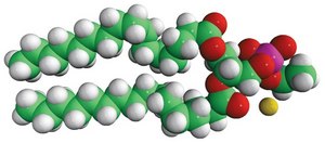 16:0 Phosphatidylethanol 1,2-dipalmitoyl-sn-glycero-3-phosphoethanol (sodium salt), chloroform