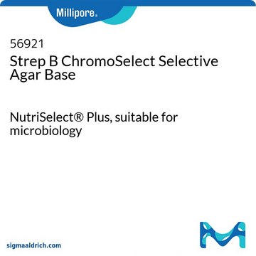 Strep B ChromoSelect Selective Agar Base suitable for microbiology, NutriSelect&#174; Plus