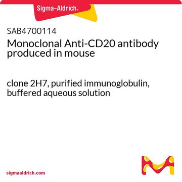 Monoclonal Anti-CD20 antibody produced in mouse clone 2H7, purified immunoglobulin, buffered aqueous solution